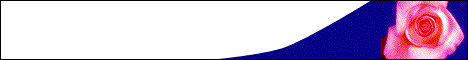 banner6.gif (6521 bytes)